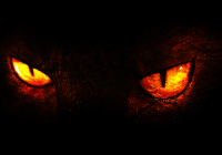 Luz, Câmera, Reação – Vídeo Mais Assustador