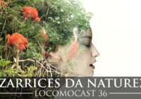 Locomocast #36 – Bizarrices da Natureza
