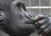 Locomodrops #24 – Perguntas Filosóficas Sem Respostas